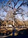079_usa_2002