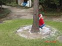 105_2004_12_24