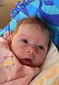 145_2007_02_15