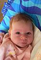 146_2007_02_15