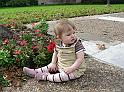 211_2007_12_02