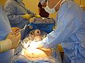 229_gabrysia_2010_03_24