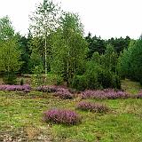 14_drobnice