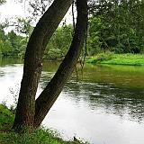 21_drobnice