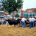 069_gouda