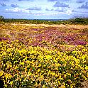 147_cap_frehel