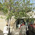 168_yad_vashem