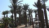 12_eilat_morze_czerwone