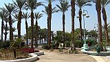 28_eilat_morze_czerwone