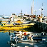 18_pafos