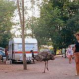 116_rzym_camping