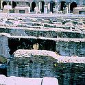 111_rzym_coloseum